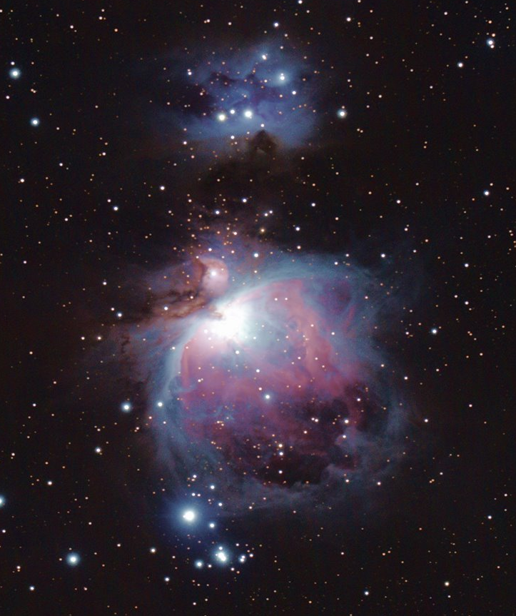 Orion Nebula by Dr. David Fogel